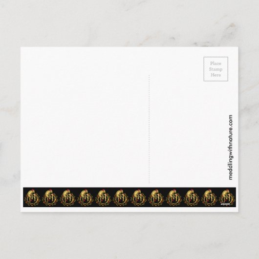 Het Briefkaart van de Opossum van de Vakantie van (Achterkant)