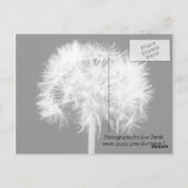 Het Briefkaart van de paardebloem (Achterkant)