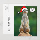 Het briefkaart van de prairiehondgopher van de (Voorkant / Achterkant)