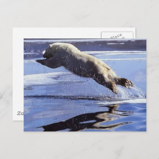 Het Briefkaart van de Reeks van het Wild van de (Voorkant / Achterkant)