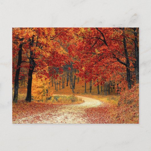 Het Briefkaart van de Scène van de herfst (Voorkant)