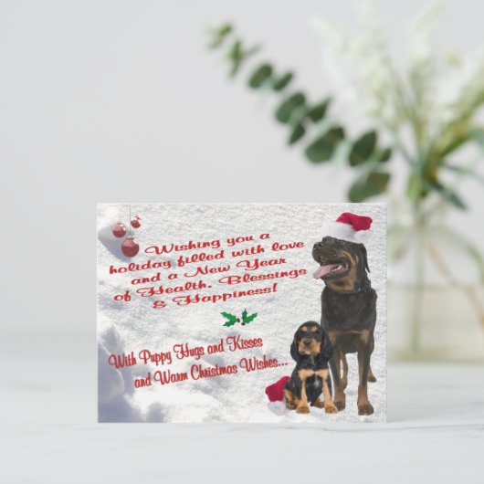 Het Briefkaart van de Scène van de Sneeuw van (Staand voorkant)