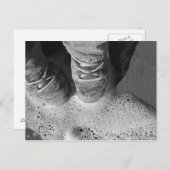 Het Briefkaart van de Schoenen van het surf n (Voorkant / Achterkant)