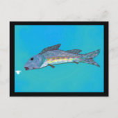 Het Briefkaart van de Schoonheid van de winter (Voorkant)