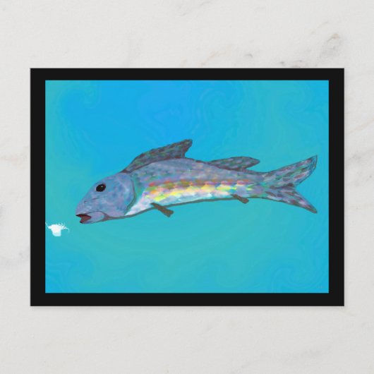 Het Briefkaart van de Schoonheid van de winter (Voorkant)