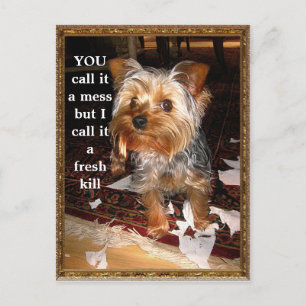 Het  Briefkaart van de Shredder