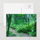 Het Briefkaart van de Sleep van de Wandeling van (Voorkant / Achterkant)