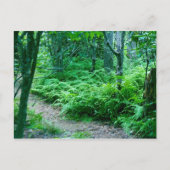 Het Briefkaart van de Sleep van de Wandeling van (Voorkant)