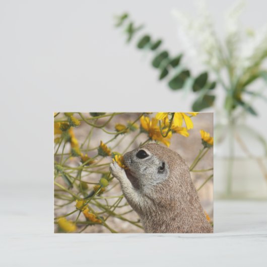 Het Briefkaart van de Snack van Wildflower (Staand voorkant)