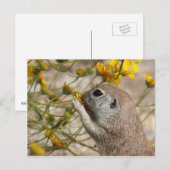 Het Briefkaart van de Snack van Wildflower (Voorkant / Achterkant)