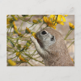 Het Briefkaart van de Snack van Wildflower