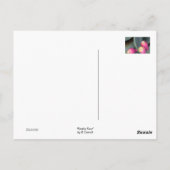 Het Briefkaart van de stekelige Peer (Achterkant)