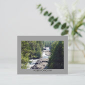 Het Briefkaart van de stroom en van de Waterval (Staand voorkant)