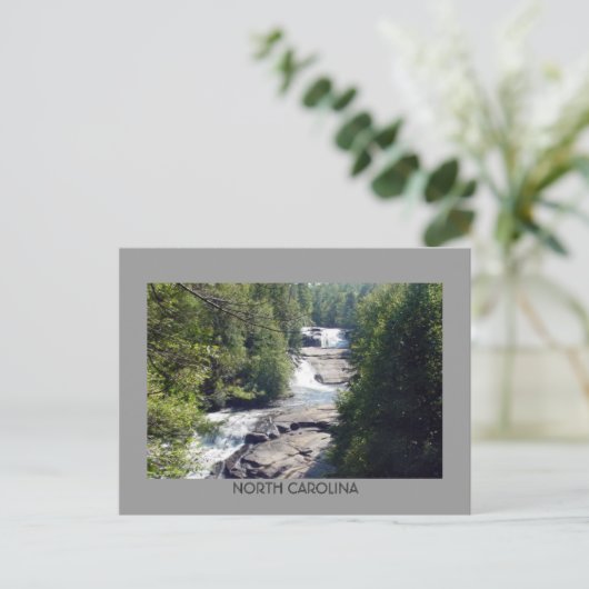 Het Briefkaart van de stroom en van de Waterval (Staand voorkant)