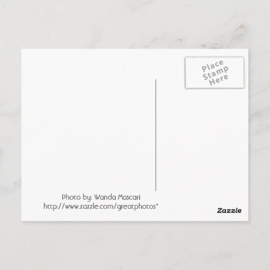 Het Briefkaart van de stroom en van de Waterval (Achterkant)