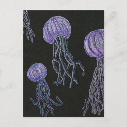 Het Briefkaart van de Stroom van kwallen (Voorkant)