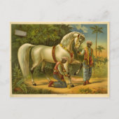 Het Briefkaart van de Sultan-agenda van 2012 (Voorkant)