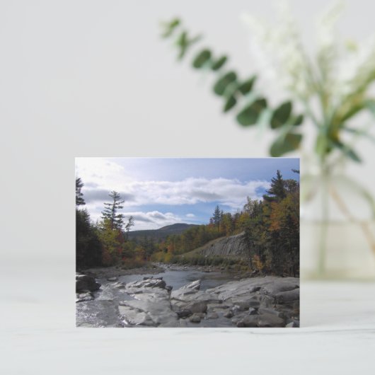 Het briefkaart van de Swift (Staand voorkant)