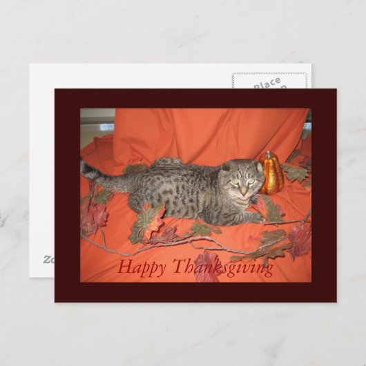 Het Briefkaart van de Thanksgiving (Voorkant / Achterkant)
