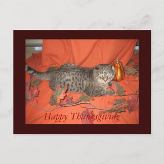 Het Briefkaart van de Thanksgiving