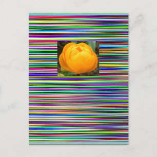 Het BRIEFKAART van de TULP van de Strepen van het