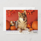 Het Briefkaart van de Vakantie van de Herfst van (Voorkant / Achterkant)