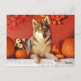 Het Briefkaart van de Vakantie van de Herfst van
