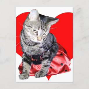 Het briefkaart van de Valentijnsdag van het