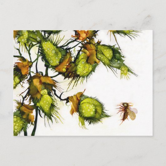 Het briefkaart van de "verkenner" door JAC (Voorkant)