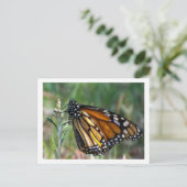 Het Briefkaart van de vlinder (Staand voorkant)