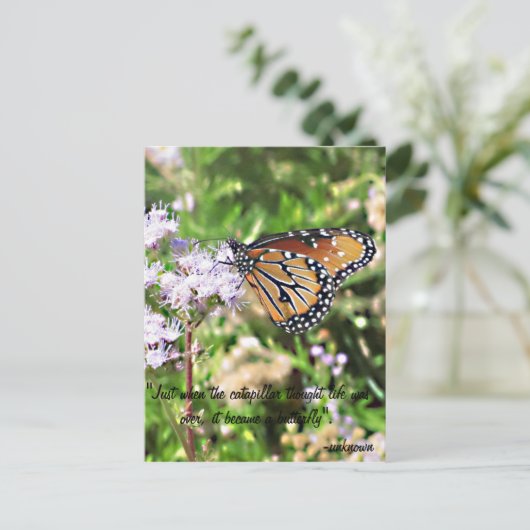 Het Briefkaart van de Vlinder van de monarch (Staand voorkant)