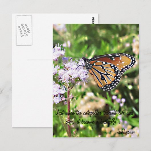 Het Briefkaart van de Vlinder van de monarch (Voorkant / Achterkant)