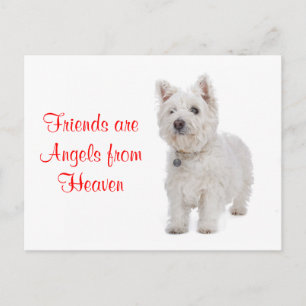 Het Briefkaart van de Vrienden van de Hond van