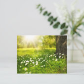 Het Briefkaart van de Weide van de bloem (Staand voorkant)