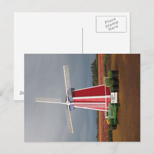 Het Briefkaart van de Windmolen van Oregon (Voorkant / Achterkant)
