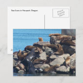 Het Briefkaart van de zeeleeuw (Voorkant / Achterkant)