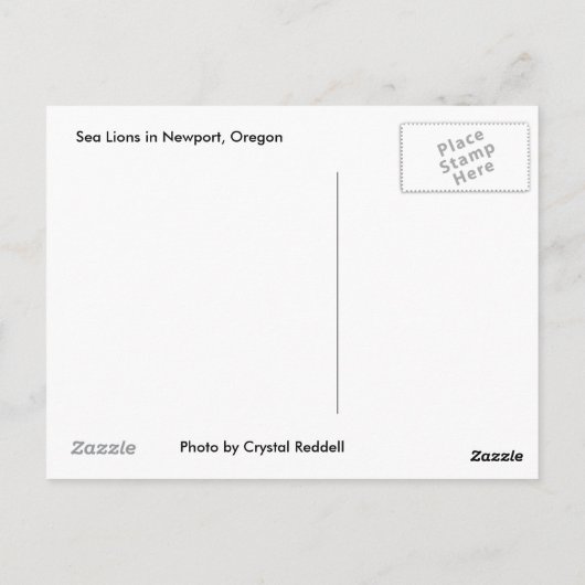 Het Briefkaart van de zeeleeuw (Achterkant)