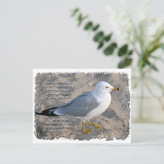 Het Briefkaart van de zeemeeuw (Staand voorkant)