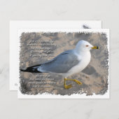 Het Briefkaart van de zeemeeuw (Voorkant / Achterkant)
