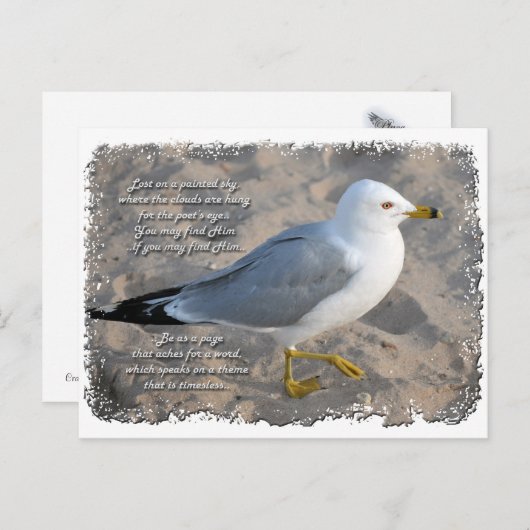 Het Briefkaart van de zeemeeuw (Voorkant / Achterkant)