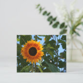 Het Briefkaart van de zonnebloem (Staand voorkant)