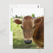 Het Briefkaart van de zuiveldeskundige (Voorkant / Achterkant)