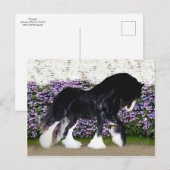 Het Briefkaart van "Donegal" (Voorkant / Achterkant)