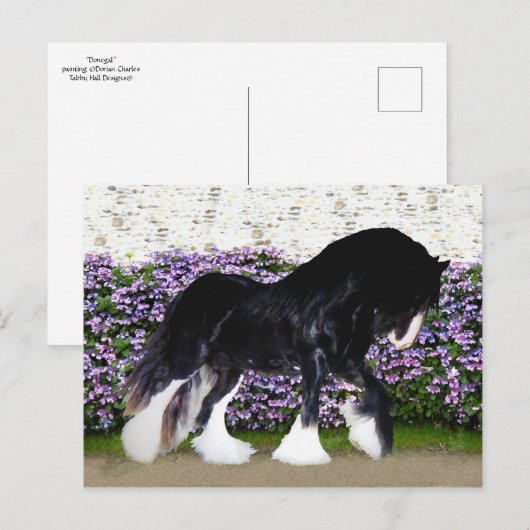 Het Briefkaart van "Donegal" (Voorkant / Achterkant)