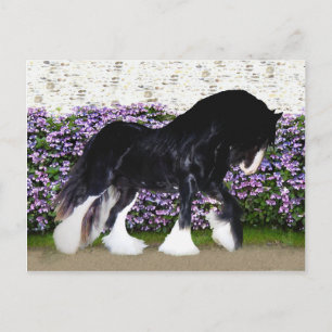 Het Briefkaart van "Donegal"