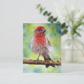 Het Briefkaart van Finchy (Staand voorkant)