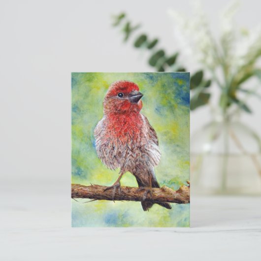 Het Briefkaart van Finchy (Staand voorkant)