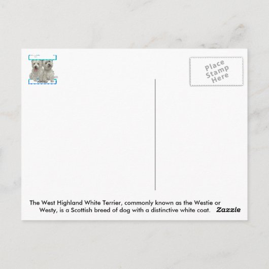Het briefkaart van het Collectie van Westie (Achterkant)