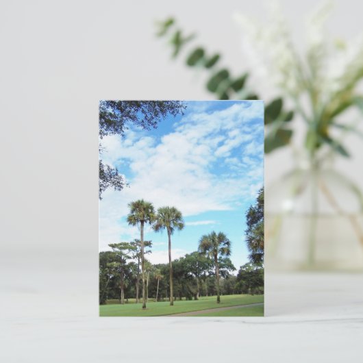 Het Briefkaart van het Eiland van Kiawah (Staand voorkant)