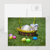 Het Briefkaart van het Fret van Pasen (Voorkant / Achterkant)